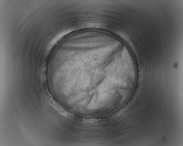 X0000116461019200912231356