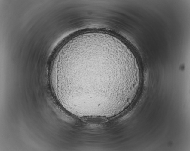 X0000116461021200912231356