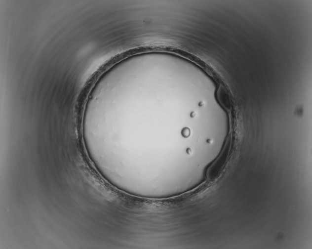 X0000116461022200912231356