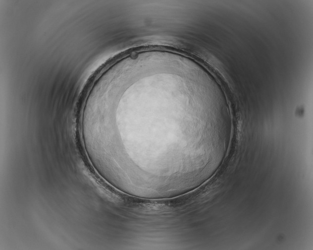 X0000116461024200912231356