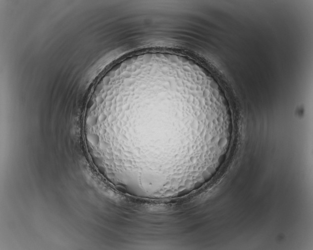 X0000116461025200912231356