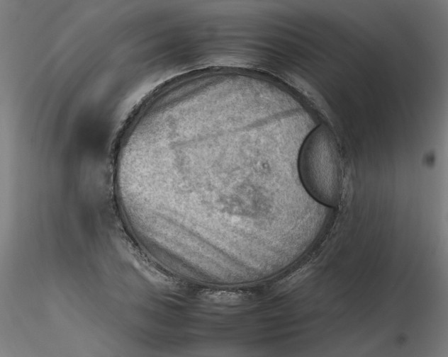 X0000116461027200912231356