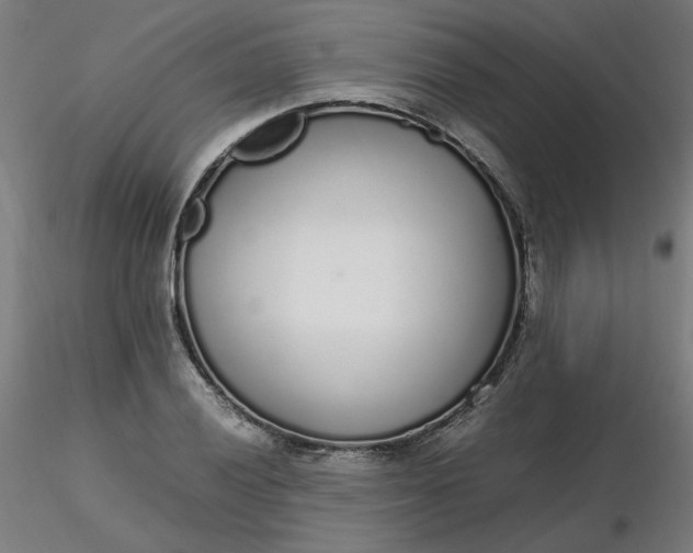 X0000116461028200912231356