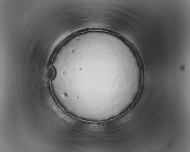 X0000116461029200912231356