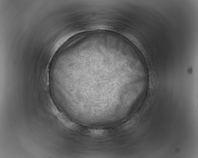 X0000116461031200912231356