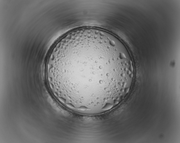 X0000116461032200912231356