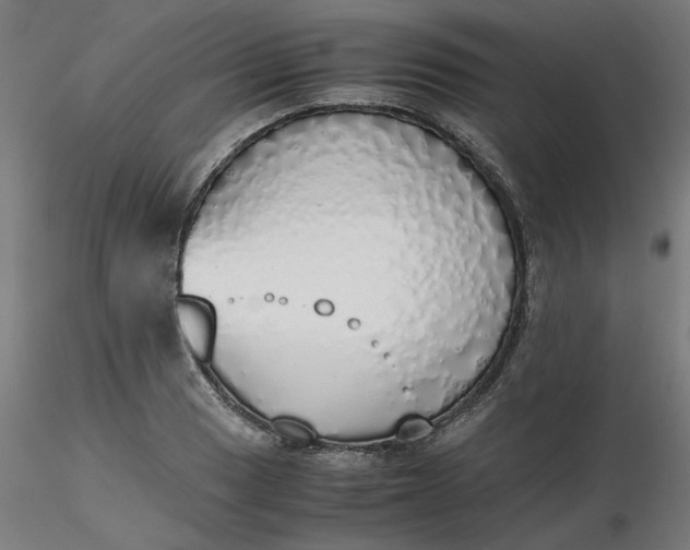 X0000116461033200912231356