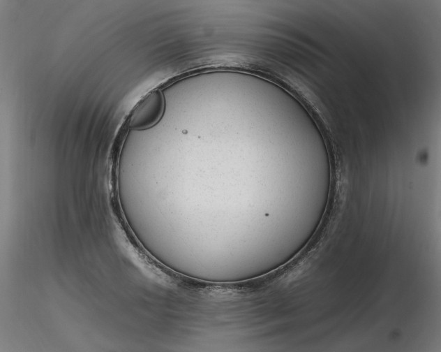 X0000116461034200912231356