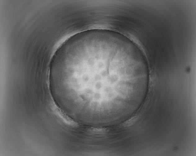 X0000116461035200912231356