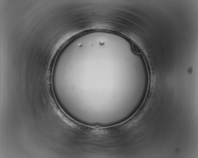X0000116461037200912231356