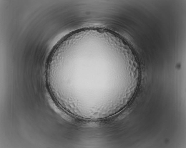 X0000116461038200912231356