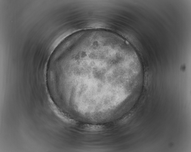 X0000116461039200912231357