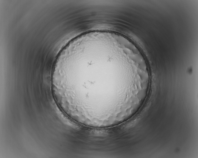 X0000116461041200912231357