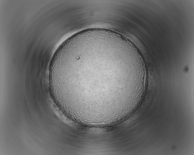 X0000116461044200912231357