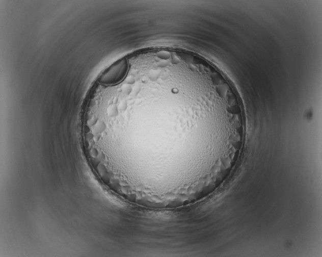 X0000116461045200912231357