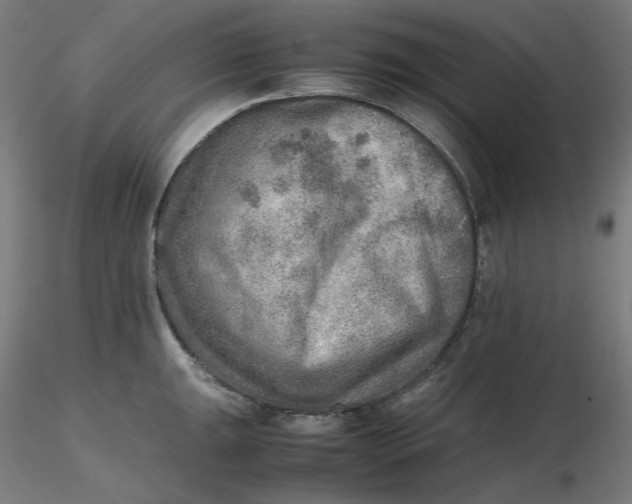 X0000116461047200912231357