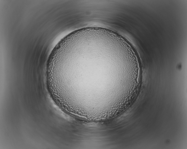 X0000116461048200912231357