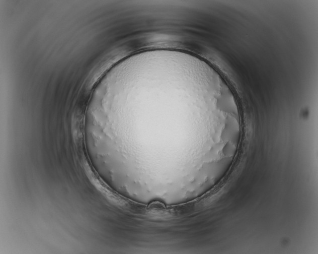 X0000116461049200912231357