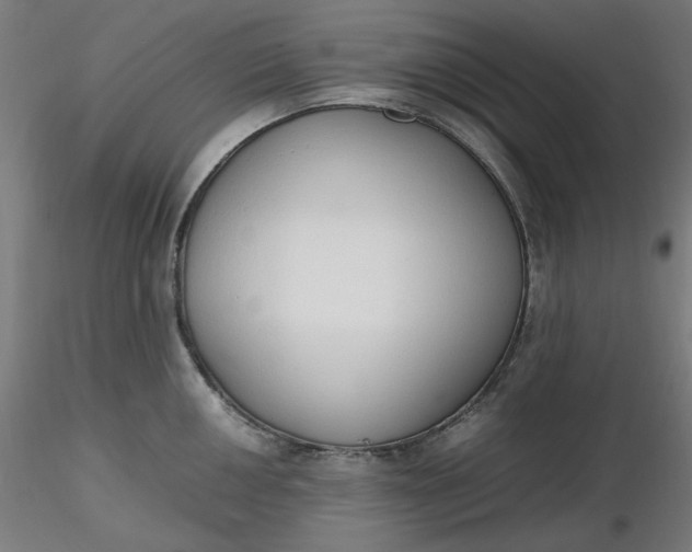 X0000116461050200912231357