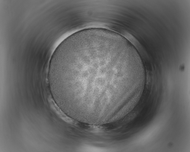 X0000116461052200912231357