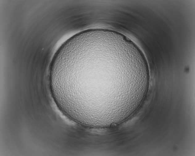 X0000116461053200912231357