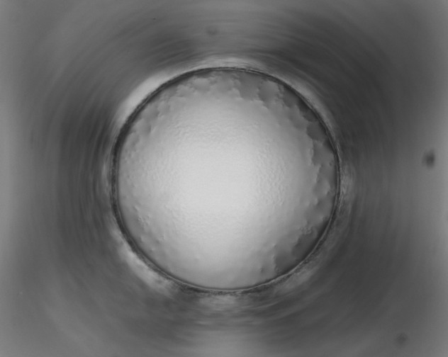X0000116461054200912231357