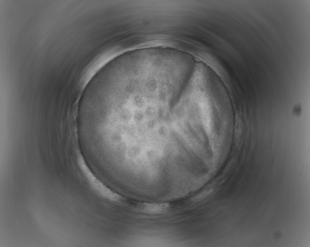 X0000116461055200912231357