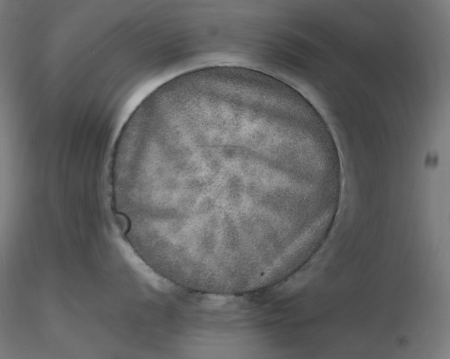 X0000116461056200912231357