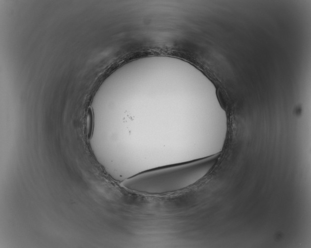 X0000116461057200912231356