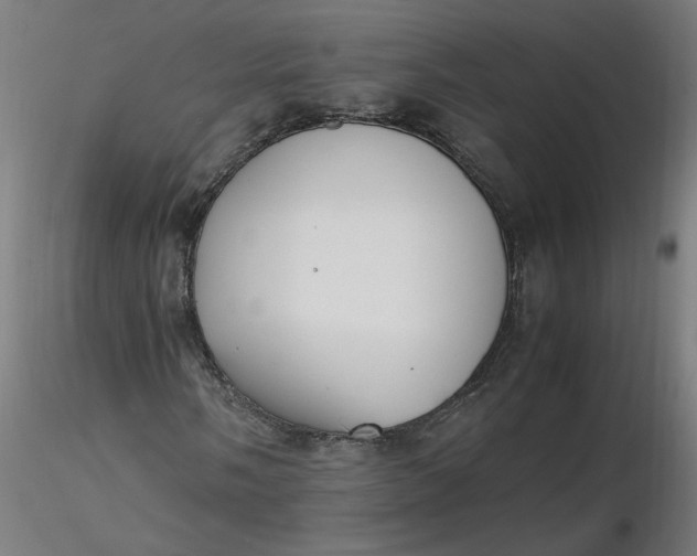 X0000116461058200912231356