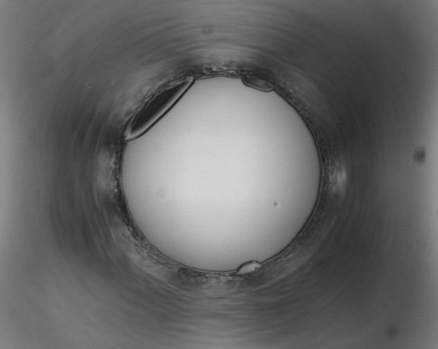 X0000116461060200912231356
