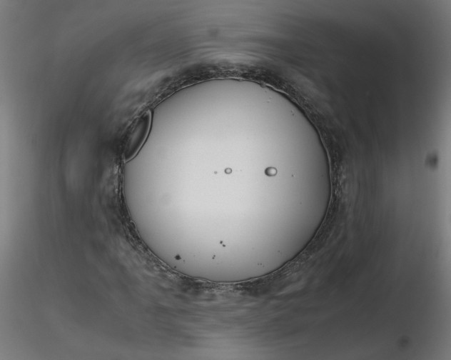 X0000116461061200912231356