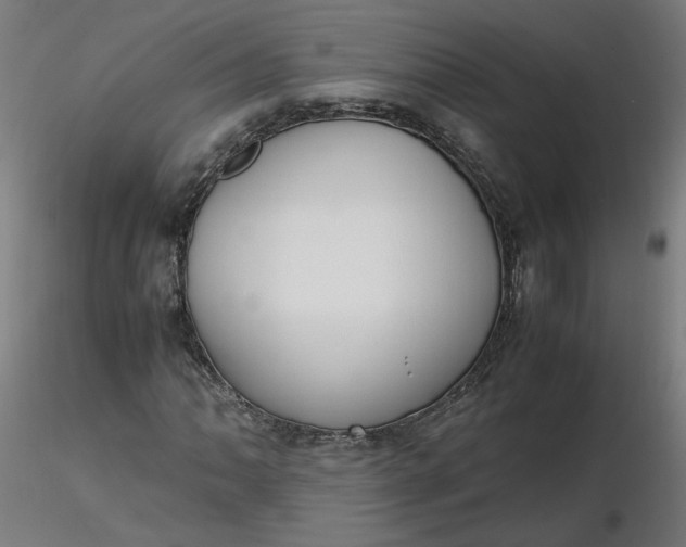 X0000116461062200912231356