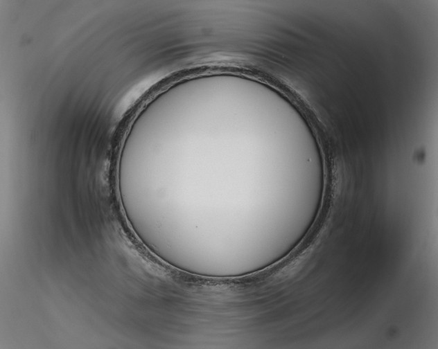 X0000116461066200912231356