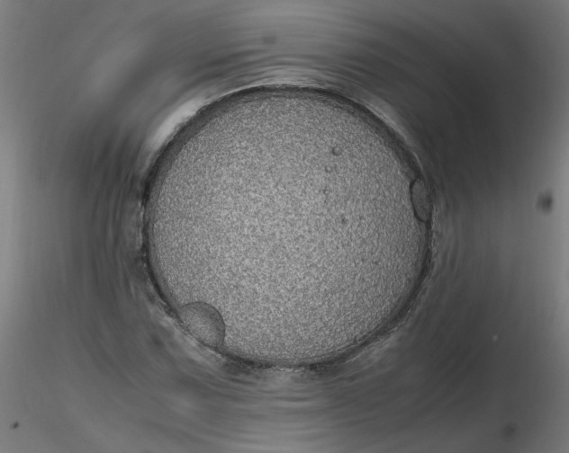 X0000116461067200912231356