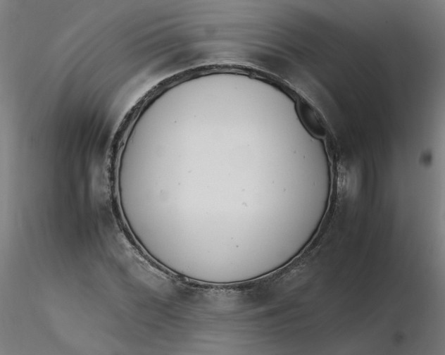 X0000116461068200912231356