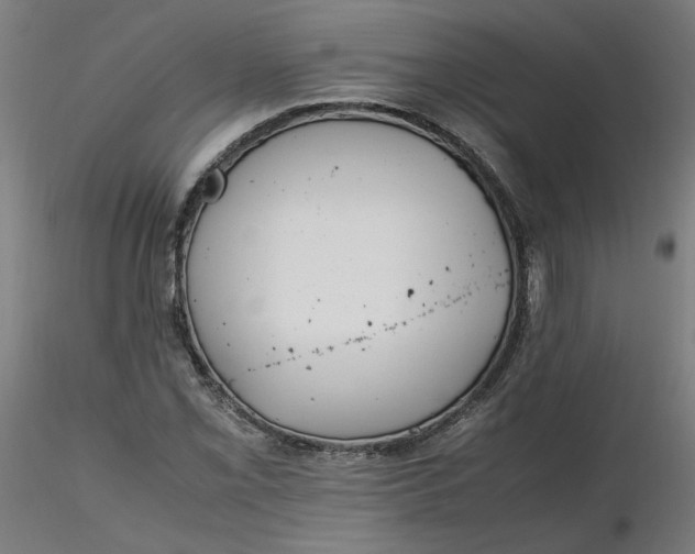 X0000116461069200912231356