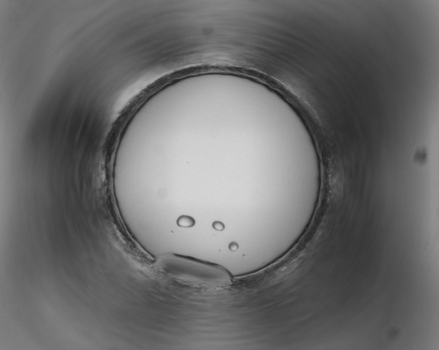 X0000116461070200912231356
