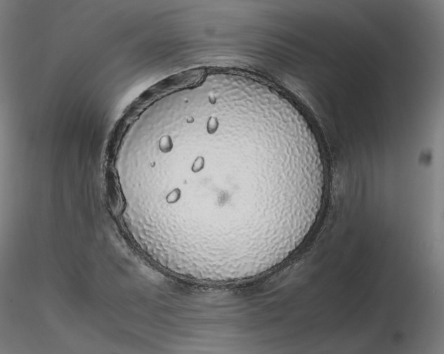 X0000116461071200912231356