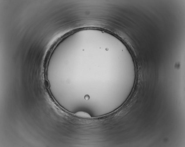 X0000116461072200912231356