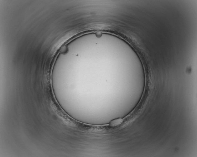 X0000116461073200912231356