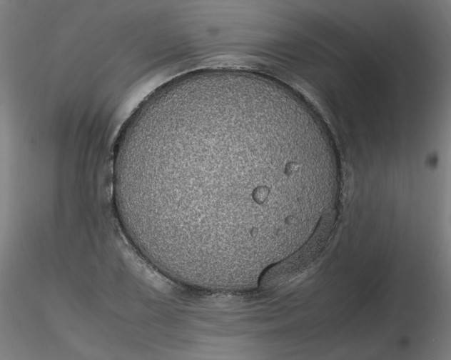 X0000116461075200912231356