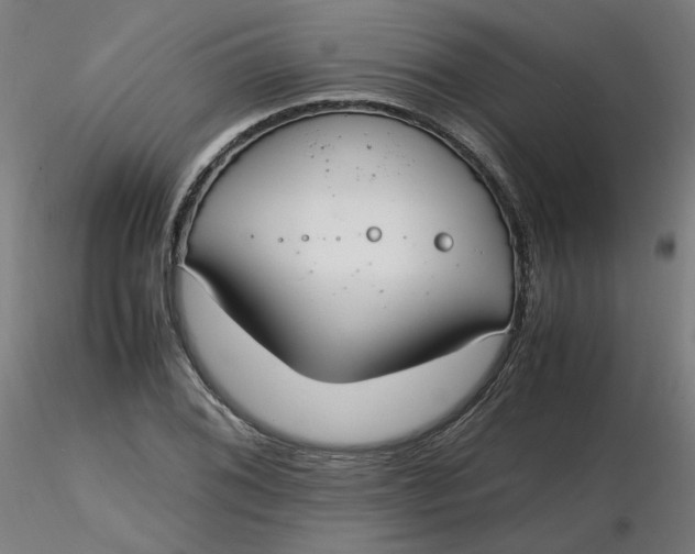 X0000116461076200912231356
