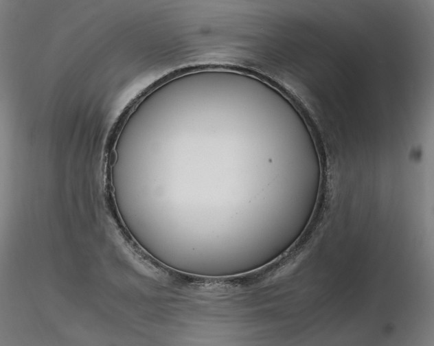 X0000116461077200912231356