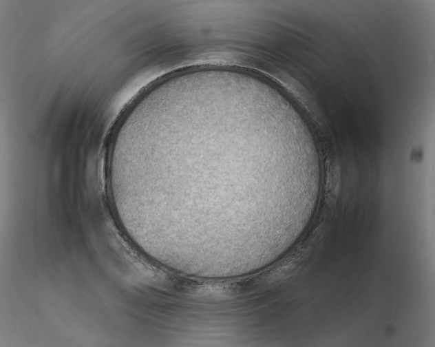 X0000116461078200912231356