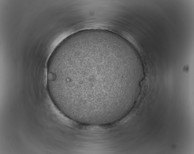 X0000116461079200912231356