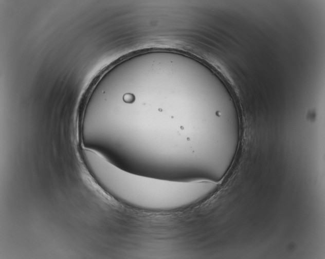X0000116461080200912231356