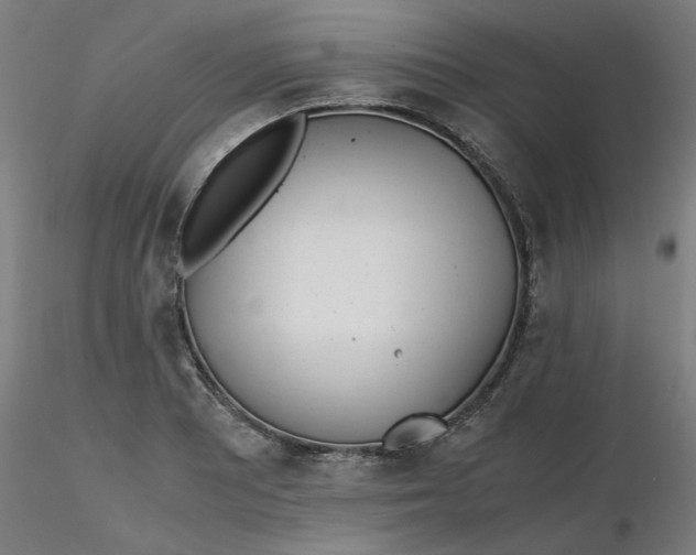 X0000116461081200912231356