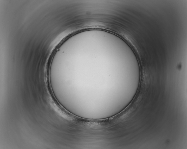 X0000116461082200912231356