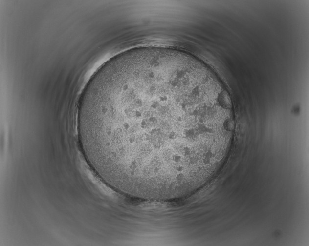 X0000116461083200912231356